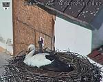 Capi_Dubne_20250404_112002.jpg