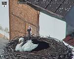 Capi_Dubne_20250404_114003.jpg