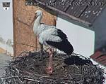 Capi_Dubne_20250404_120503.jpg