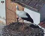 Capi_Dubne_20250404_122503.jpg