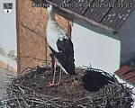 Capi_Dubne_20250404_123503.jpg