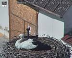 Capi_Dubne_20250404_130503.jpg