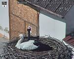 Capi_Dubne_20250404_132003.jpg
