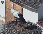 Capi_Dubne_20250404_134003.jpg