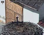 Capi_Dubne_20250404_134502.jpg