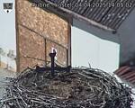 Capi_Dubne_20250404_140502.jpg
