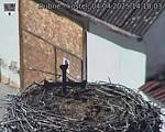 Capi_Dubne_20250404_141003.jpg