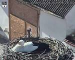 Capi_Dubne_20250404_162003.jpg