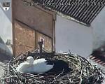 Capi_Dubne_20250404_162503.jpg