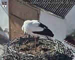 Capi_Dubne_20250404_163002.jpg
