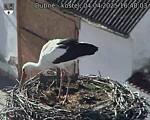 Capi_Dubne_20250404_164003.jpg