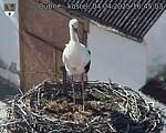 Capi_Dubne_20250404_164503.jpg