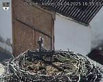Capi_Dubne_20250404_165503.jpg