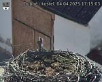 Capi_Dubne_20250404_171503.jpg