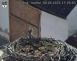 Capi_Dubne_20250404_172003.jpg