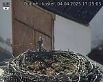 Capi_Dubne_20250404_172503.jpg