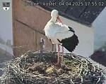 Capi_Dubne_20250404_175502.jpg