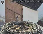Capi_Dubne_20250404_181002.jpg