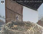 Capi_Dubne_20250404_184502.jpg