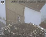 Capi_Dubne_20250404_190503.jpg
