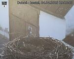 Capi_Dubne_20250404_191503.jpg