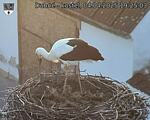 Capi_Dubne_20250404_192503.jpg