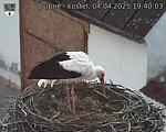 Capi_Dubne_20250404_194003.jpg