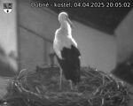 Capi_Dubne_20250404_200502.jpg