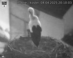 Capi_Dubne_20250404_201003.jpg