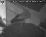Capi_Dubne_20250404_203502.jpg