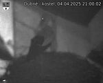 Capi_Dubne_20250404_210002.jpg
