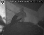 Capi_Dubne_20250404_210502.jpg