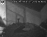 Capi_Dubne_20250404_224502.jpg