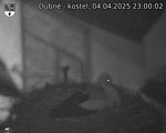 Capi_Dubne_20250404_230002.jpg