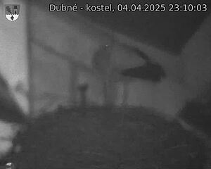 Capi_Dubne_20250404_231003.jpg (1350 x 1080)