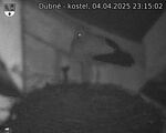 Capi_Dubne_20250404_231502.jpg