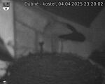 Capi_Dubne_20250404_232002.jpg