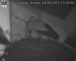Capi_Dubne_20250404_235002.jpg