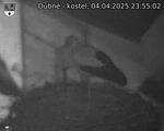 Capi_Dubne_20250404_235502.jpg