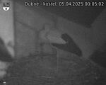 Capi_Dubne_20250405_000502.jpg