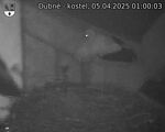 Capi_Dubne_20250405_010003.jpg