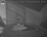 Capi_Dubne_20250405_013003.jpg