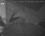 Capi_Dubne_20250405_021003.jpg