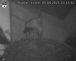 Capi_Dubne_20250405_031502.jpg