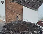 Capi_Dubne_20250405_090003.jpg