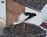 Capi_Dubne_20250405_091003.jpg
