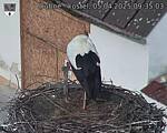 Capi_Dubne_20250405_093503.jpg