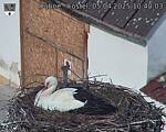 Capi_Dubne_20250405_104003.jpg
