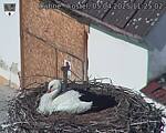 Capi_Dubne_20250405_112502.jpg