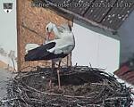 Capi_Dubne_20250405_121002.jpg